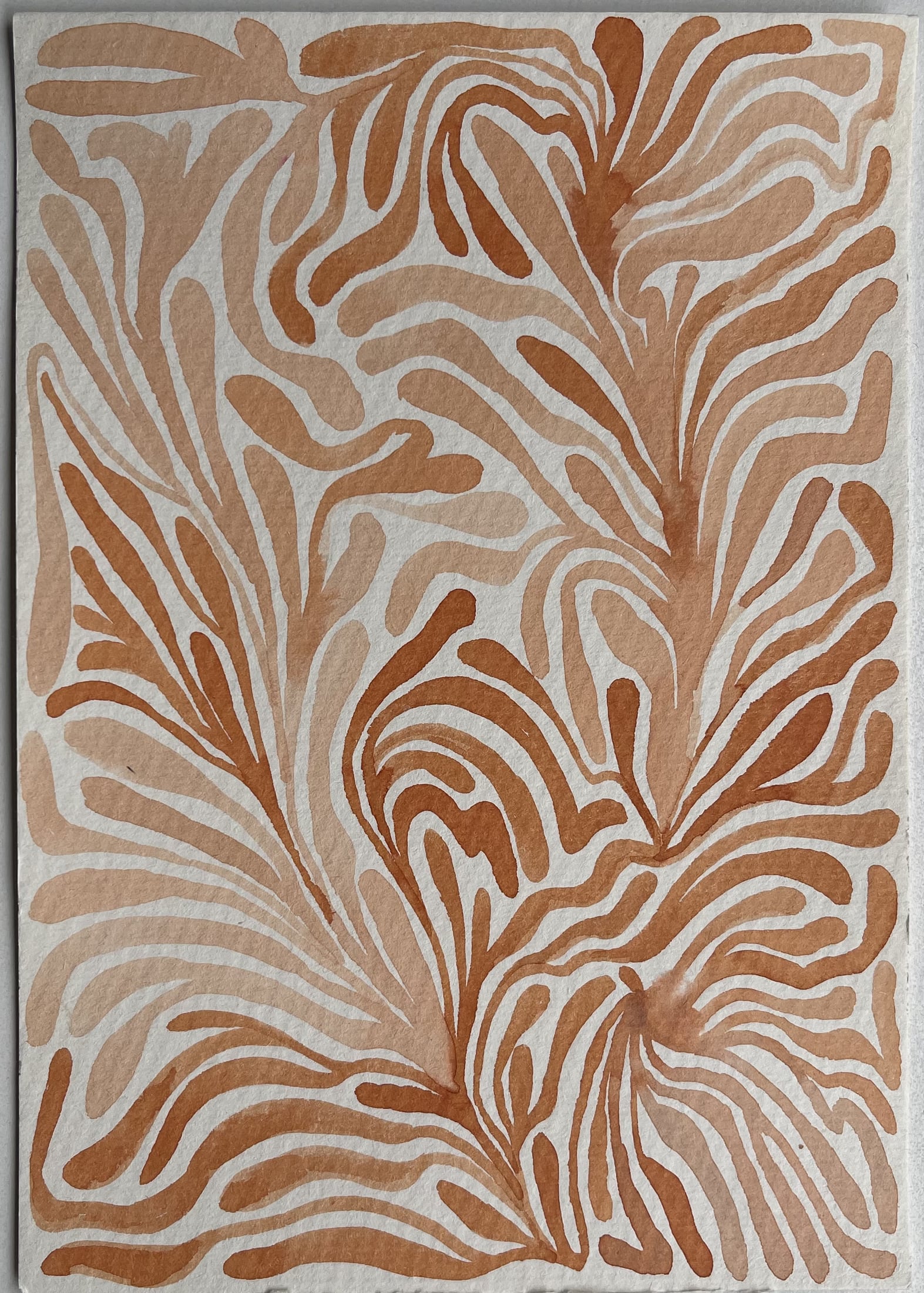 Corals — artwork 3