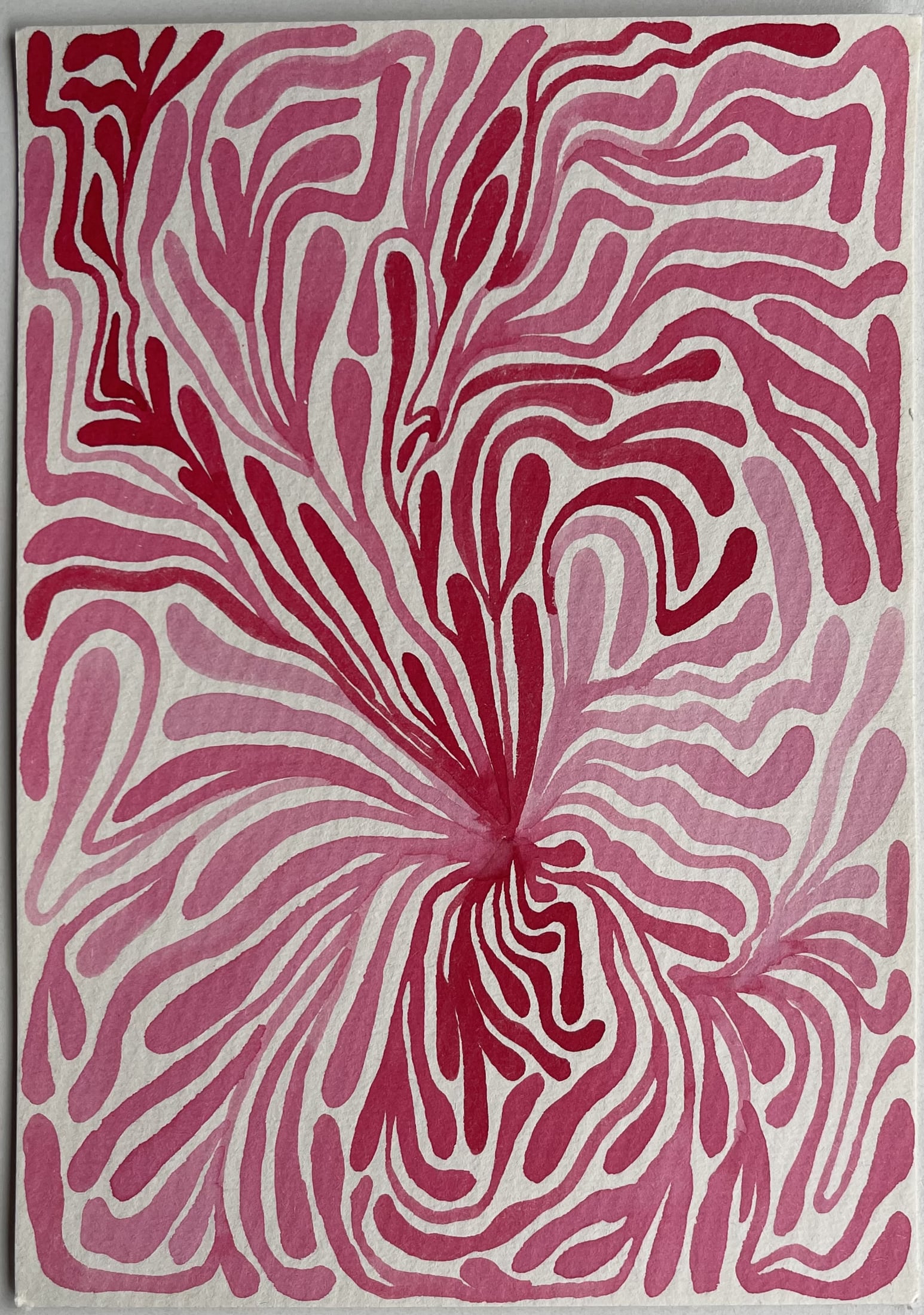 Corals — artwork 4