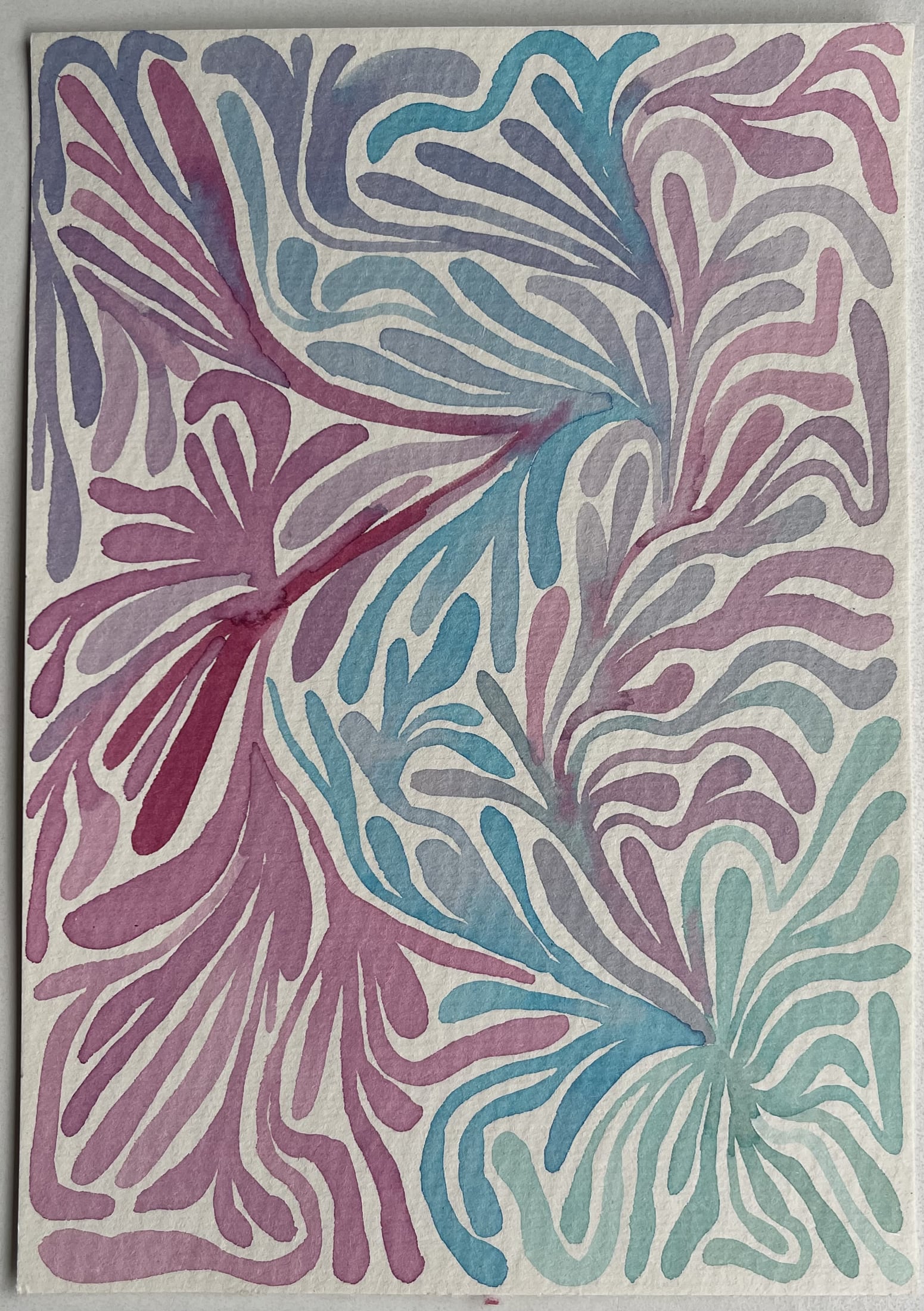 Corals — artwork 7