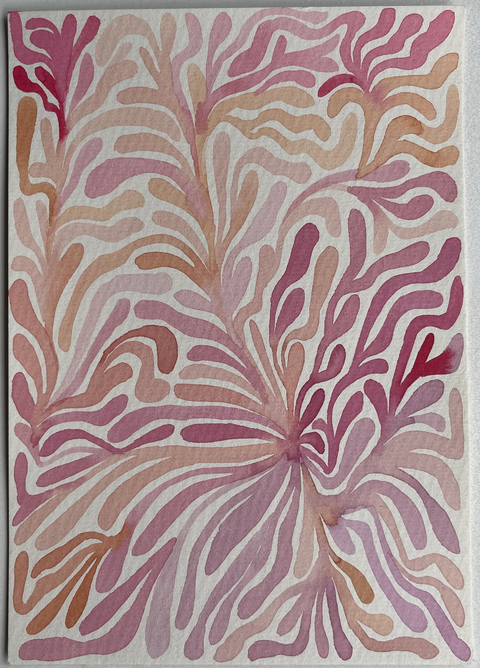 Corals — artwork 8