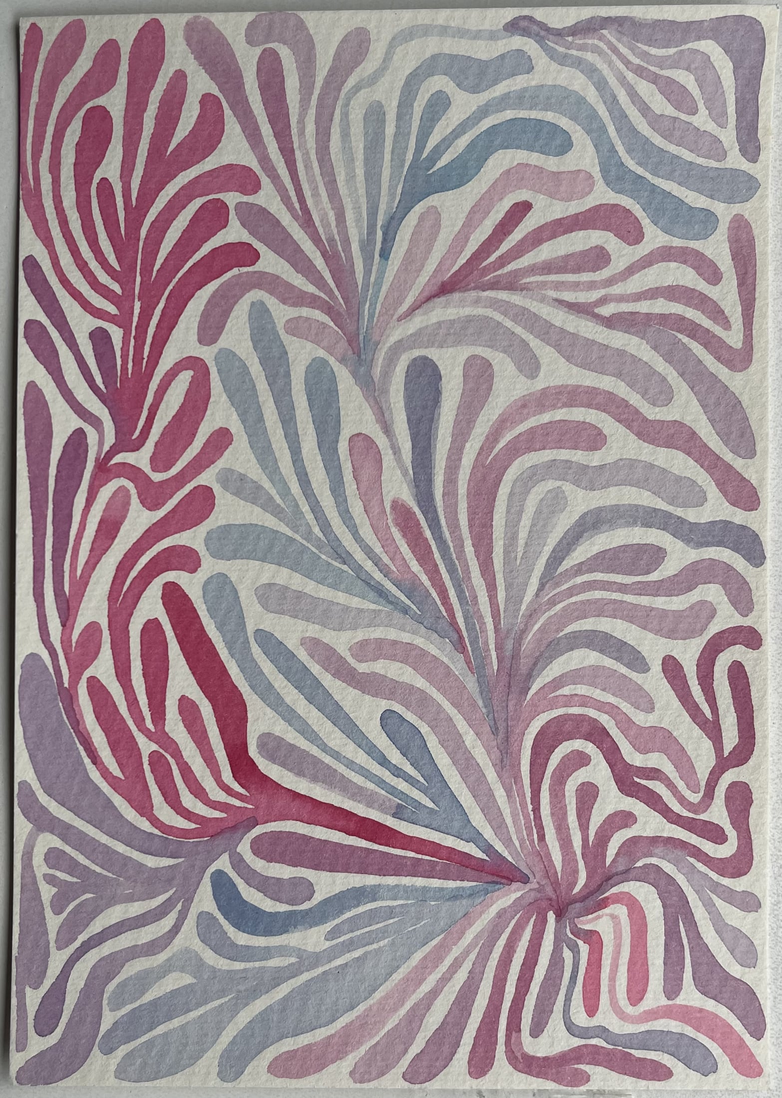 Corals — artwork 9