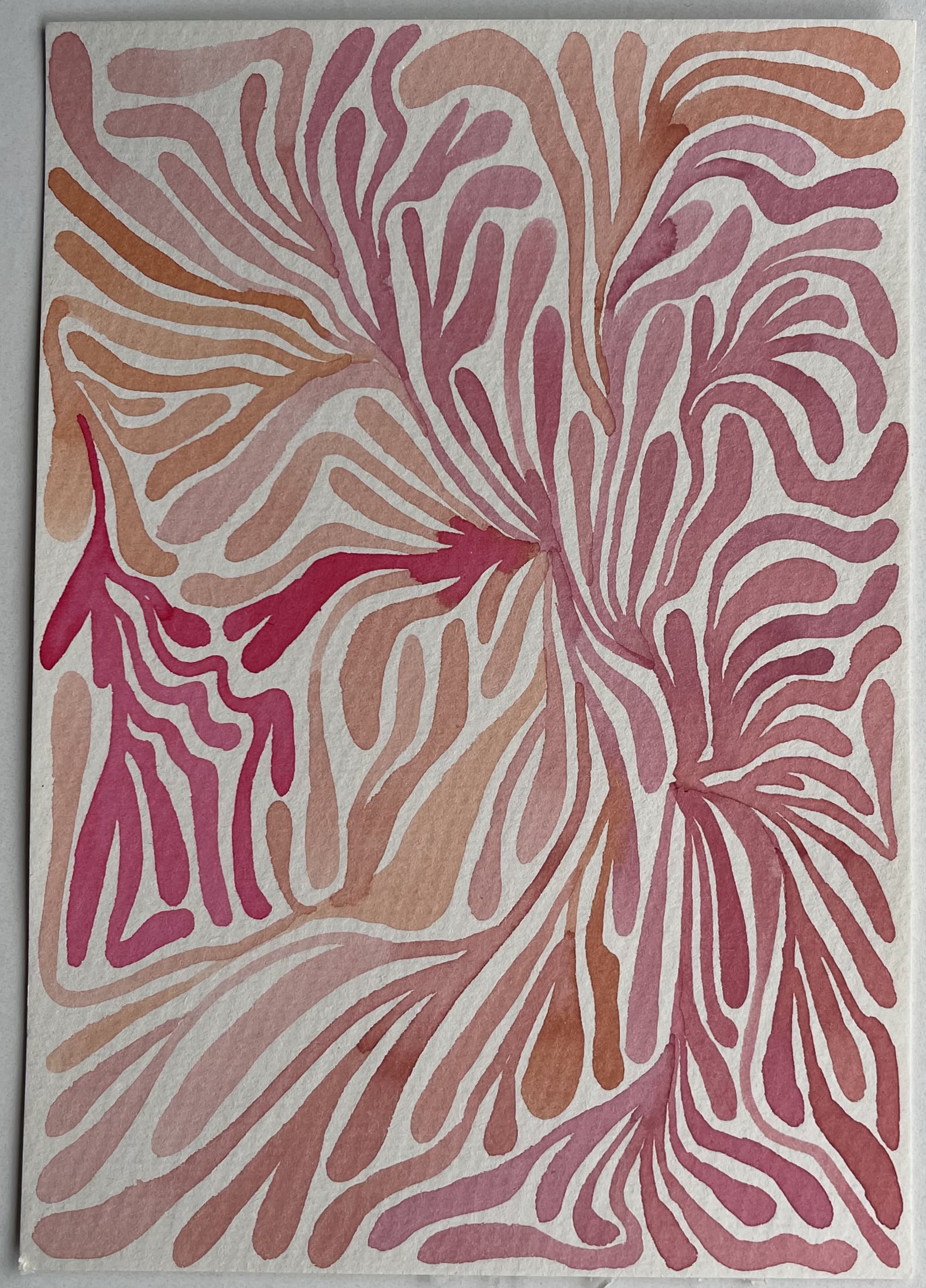 Corals — artwork 10